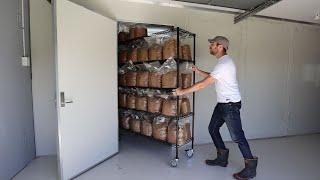 Halfway Through Building a Mushroom Farm  - Making First Mushroom Substrate Blocks