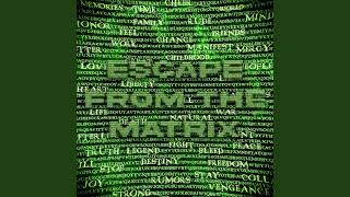 ESCAPE FROM THE MATRIX