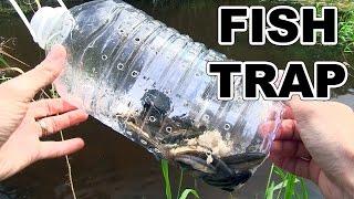 How to make a fish trap with plastic bottle - Awesome Life Hacks