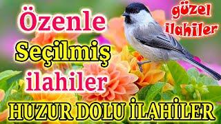 En Güzel İlahilerKarışık Harika İlahilerÖzenle Seçilmiş Yeni İlahilerGüzel İlahi Dinle