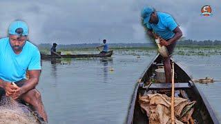 വെള്ളപ്പൊക്ക മീൻ പിടുത്തം EarthLovers MediaReal Life vlog