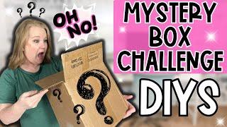 🫣 Make these BRAND NEW Home Decor DIYS    Very Special MYSTERY BOX CHALLENGE