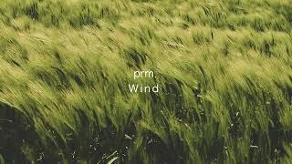 prm. - Wind Official Audio
