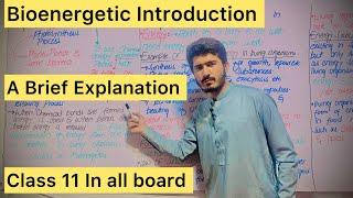 Bioenergetics  Introduction#bioenergetics#mdcat biology