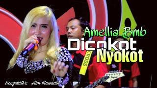 Dicokot Nyokot - Amellia BMB - Official MV