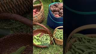 Garden haul #garden #gardening #growyourownfood #backyardgardening #gardenharvest #haul #shorts