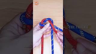 How to tie knots rope diy at home #diy #viral #shorts ep1363