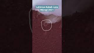 Lahirnya Kubah Lava Merapi 2021 #shorts #kubahlava #erupsimerapi