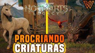 Como PROCRIAR CRIATURAS em Hogwarts Legacy - Como Fazer e Pra Que Serve