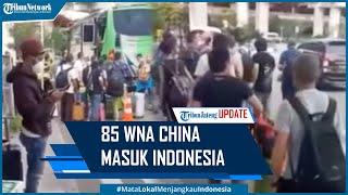 Heboh 85 WNA China Masuk Indonesia Pakai Pesawat Sewaan