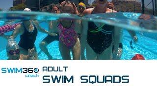 SWIM360 Adult Swimming Squad