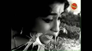 Elu Swaravu Seri  Beautiful song by Susheelamma  P.Susheela  Beedi Bandhavalu  Chandrakala