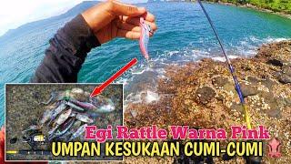 UMPAN MANCING CUMI CUMI PINGGIR LAUT  CARA MANCING CUMI