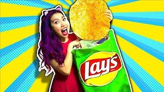 DIY Giant Lay Potato Chip Bag Super Tasty Delicious