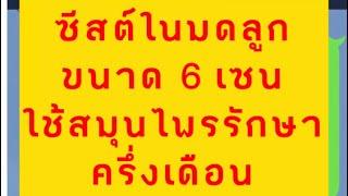 รักษาซีสต์ในมดลูก6เซนหายในเดือนแรก