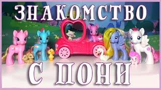 ЗНАКОМСТВО С ПОНИ MLPLifeFIM