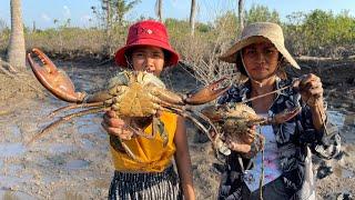 Catching Many Huge Mud Crabs In Muddy after Water Low Tide
