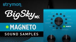 Strymon BigSky MX  Sound Samples  Magneto Reverbs