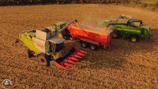 Kukurica 2023 - JOHN DEERE T670i + CLAAS Lexion 660