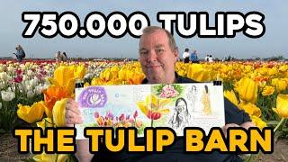 I saw over 750.000 beautiful flowers at The Tulip Barn