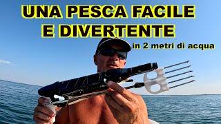 pesca con la fiocina in 2 metri di acqua