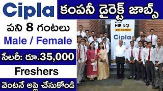 Cipla లో జాబ్స్  Cipla job vacancy 2023  Private company job vacancy 2023