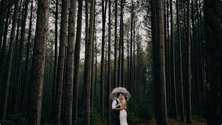 Emma + Caleb  - Stunning Forest Wedding at Pinewood in Cambridge MN