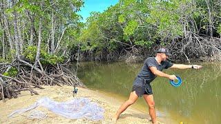 12 Hour River Mouth Fishing Challenge - How Many Species Can I Catch?