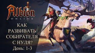 Albion online  КАК РАЗВИВАТЬ СОБИРАТЕЛЯ С НУЛЯ? День  1- 3