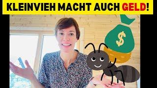 10 einfache Tipps zum GELD SPAREN im Alltag sollte jeder kennen