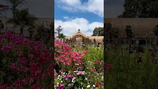 Balboa Park - San Diego - California - Mingei Museum