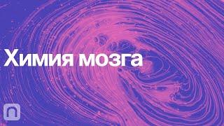 Химия мозга – курс Вячеслава Дубынина  ПостНаука