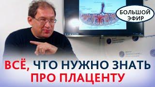 Плацента как это работает? Всё что важно знать про плаценту. Гузов И.И.