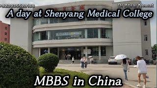 A day at Shenyang Medical College  Top Medical University in China for MBBS  MBBS in China