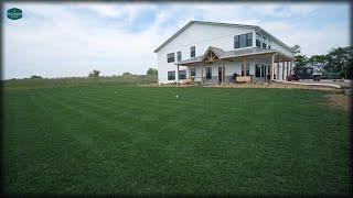 New Front Lawn 8 WEEKS AFTER SEEDING + Early Summer Plot Updates