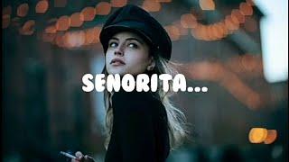 Shawn Mendes Camila Cabello - Señorita  Senorita  Lyrics   I.L. Music