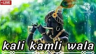 काली कमली वाला मेरा यार है  Kali Kamli Wala Mera Yaar Krishna Chitra & Vichitra Ji  Lo-Fi Bhajan