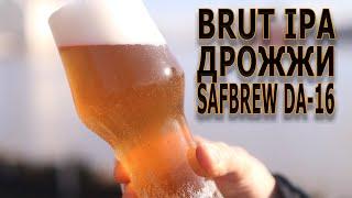 Brut IPA дрожжи Safbrew DA-16