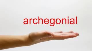 How to Pronounce archegonial - American English