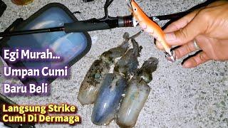 Setiap ke dermaga ini pasti strike cumi  Mancing cumi di dermaga sore sampai malam hari