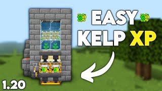 EASY KELP XP Farm 1.20.1+ Minecraft Bedrock WindowsMCPEPS5XboxSwitch
