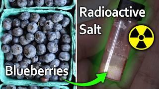 Extracting Radioactive Salt from Chernobyl Blueberries