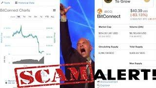 This Guy Scammed You For All Your Money Dank BitConnect Guy Screaming Meme