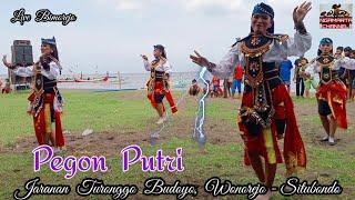 Tari Pegon Putri  Jaranan Turonggo Budoyo Wonorejo - Situbondo  Live Bimorejo