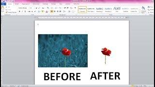 Cara Menghapus Background Gambar di Microsoft Word