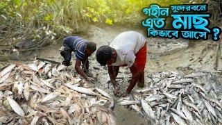 গহীন সুন্দরবনের ছোট নালায় এত মাাছ পাবো ভাবি নি  Fish Catching BD  Adventure BD