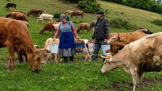 Home Cheese Making Mozzarella Cheese from Fresh Milk