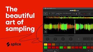 The beautiful art of sampling & how to find your voice or style within it