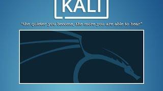 How to install kali-linux os for live use on USB