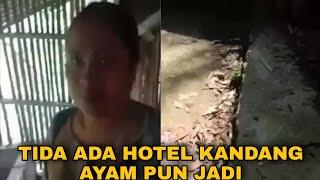 kandang ayam viral gak ada hotel kandang ayam pun jadi